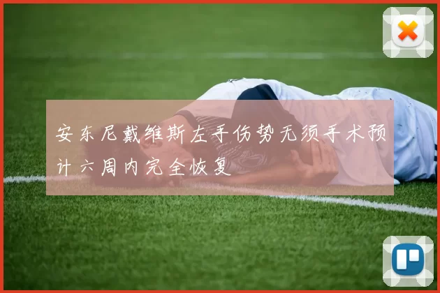 安东尼戴维斯左手伤势无须手术预计六周内完全恢复